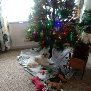 Meet your Posher, Kathleen